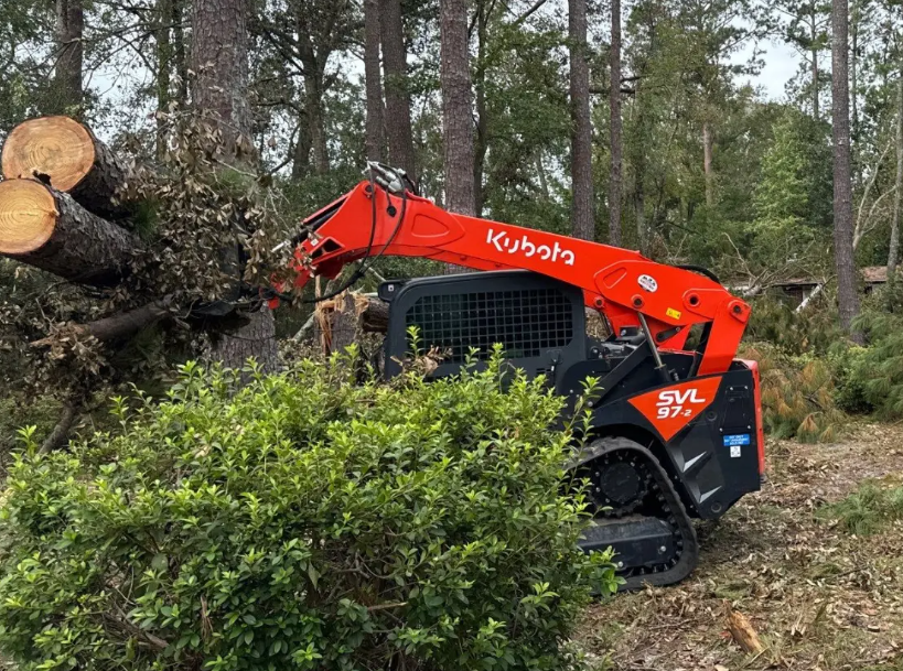 Land Clearing service by Oxford Tree Removal in Oxford, MS