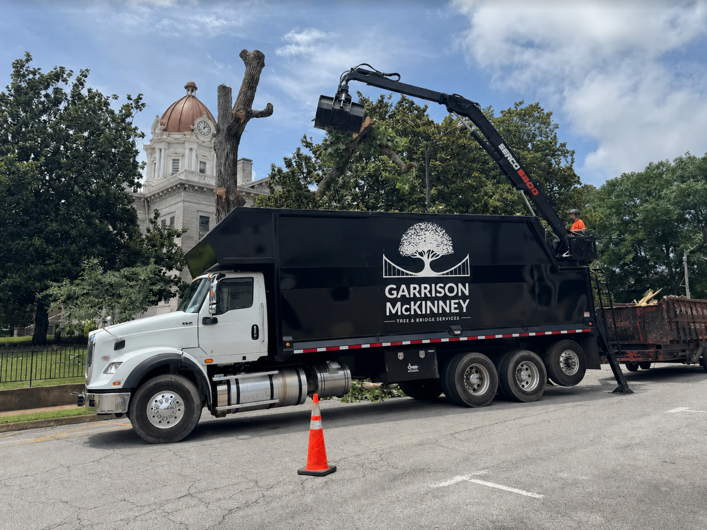 Trimming & Pruning in Oxford, Mississippi by Oxford Tree Removal