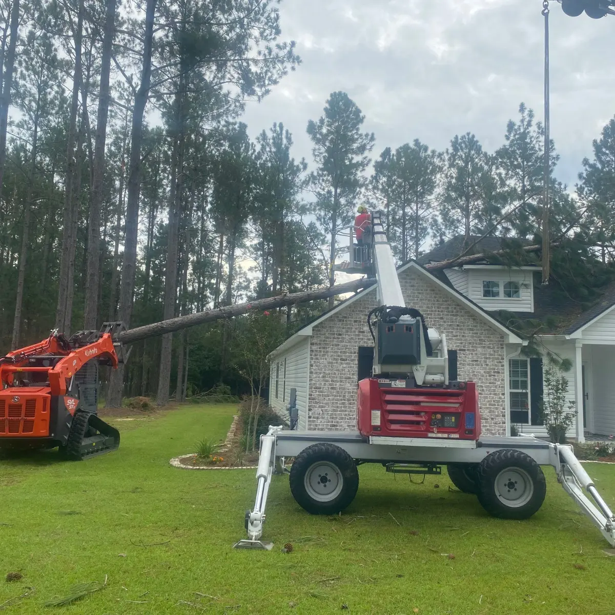 Oxford tree service crew performing tree removal and cleanup in Oxford, Mississippi, job 6
