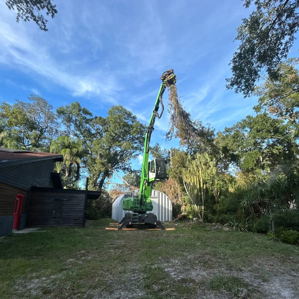 Oxford tree service crew performing tree removal and cleanup in Oxford, Mississippi, job 7