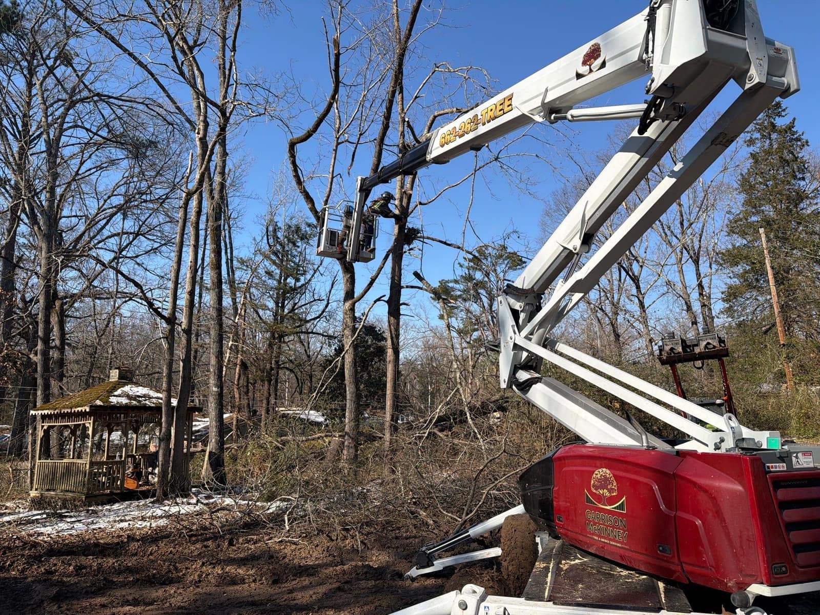 Oxford tree service crew performing tree removal and cleanup in Oxford, Mississippi, job 1