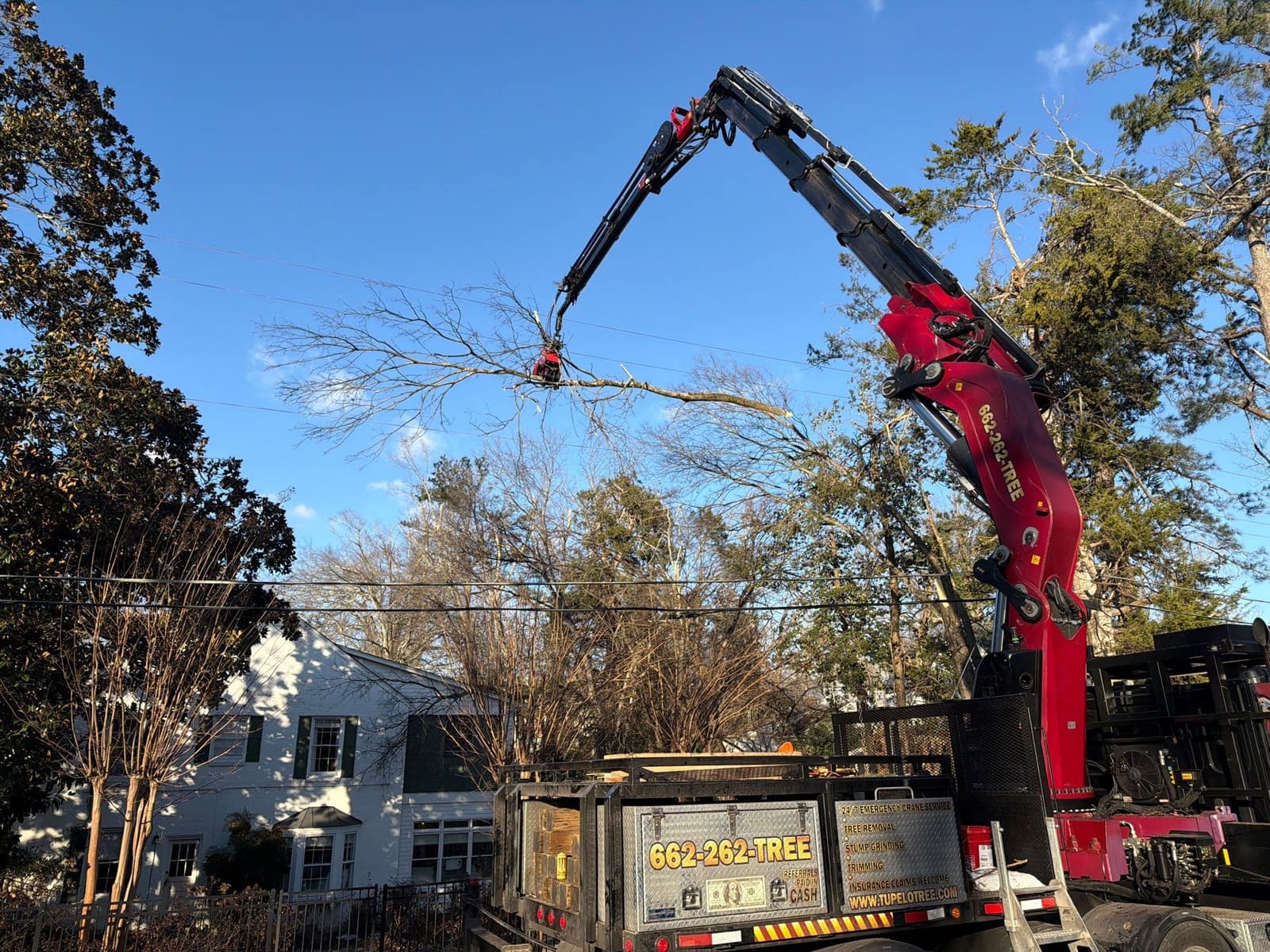 Oxford tree service crew performing tree removal and cleanup in Oxford, Mississippi, job 4