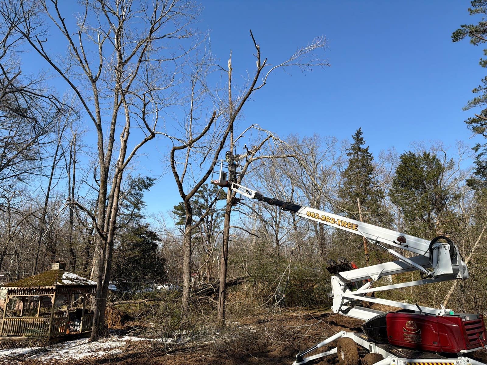 Oxford tree service crew performing tree removal and cleanup in Oxford, Mississippi, job 5