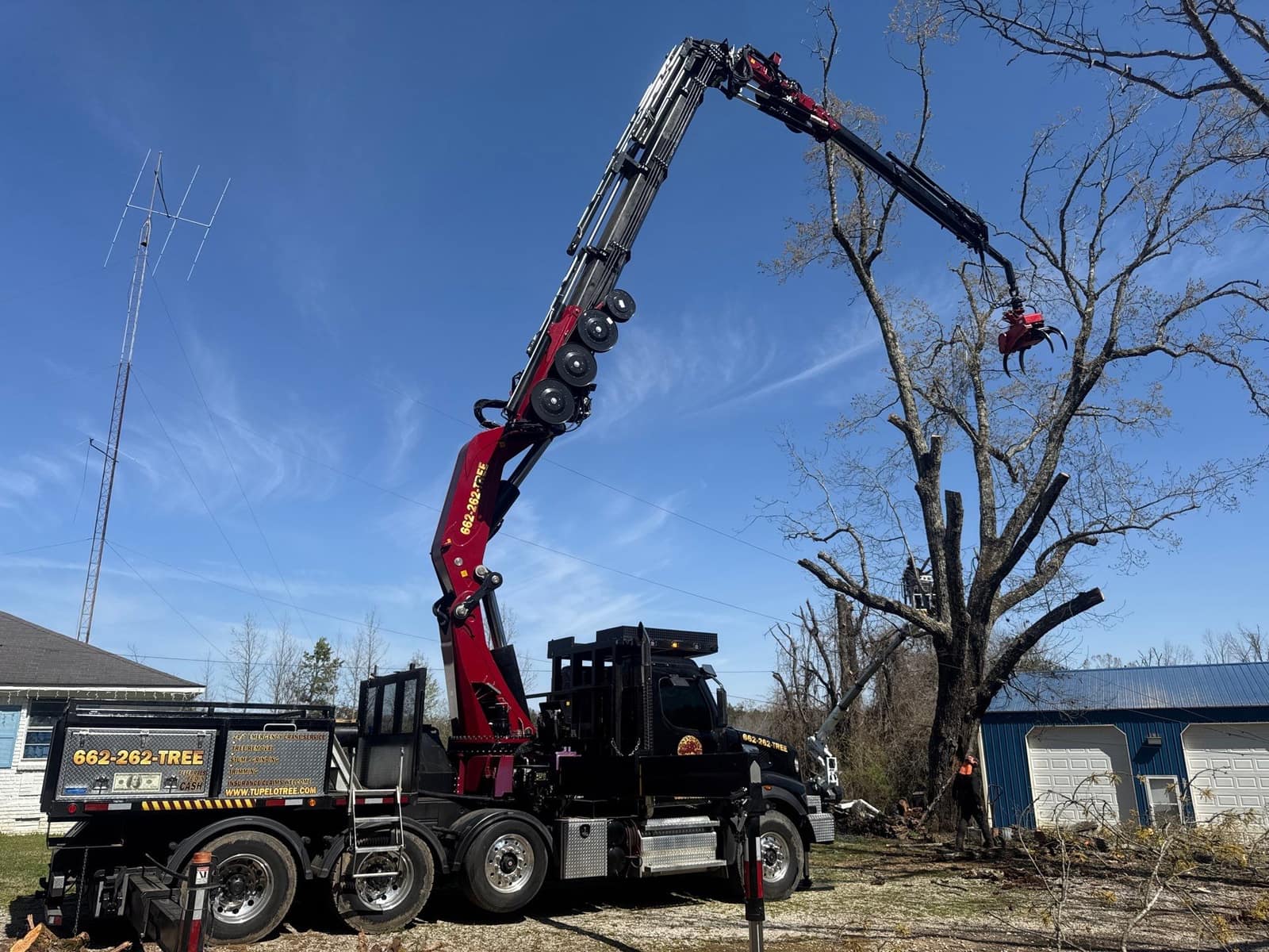 Tree Removal in Oxford, Mississippi by Oxford Tree Removal