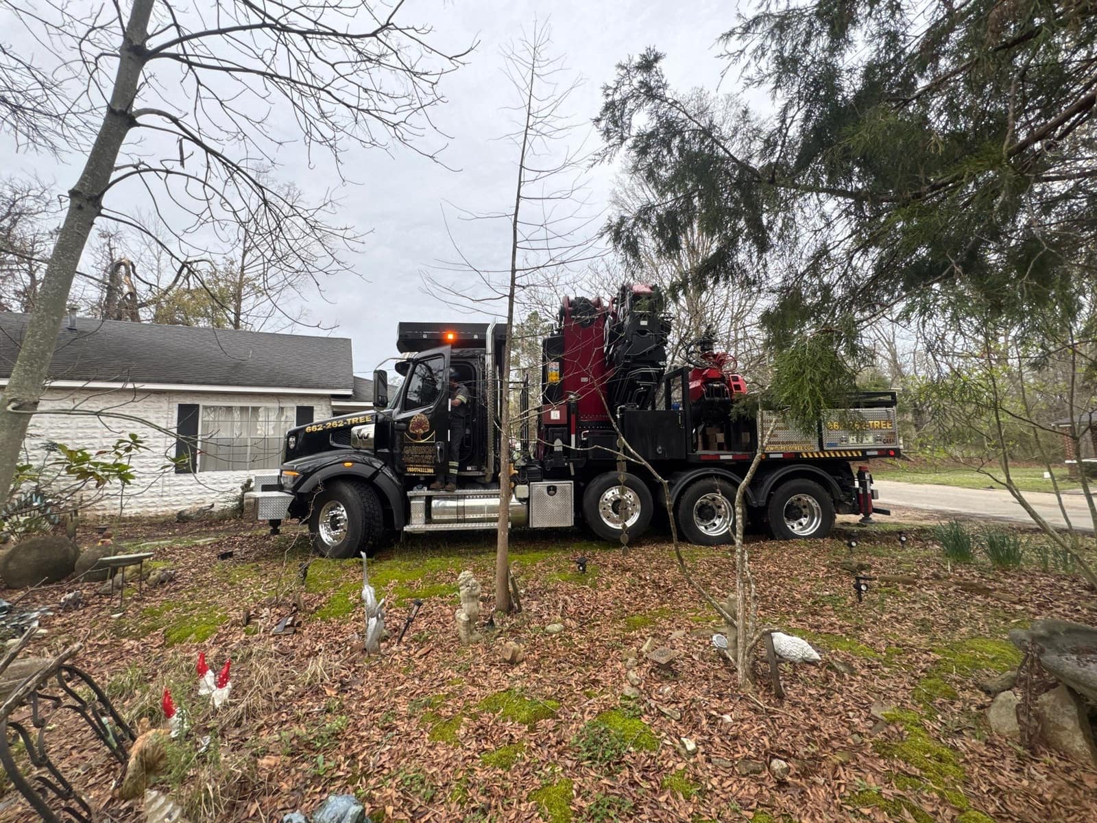 Garrison McKinney crew rigging a large tree removal in Oxford, MS